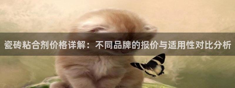 富联娱乐注册任判官333OO：瓷砖粘合剂价格详解：不同品牌的报价与适用性对比分析