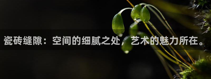富联娱乐招商鱼判官333OO：瓷砖缝隙：空间的细腻之处，艺术的魅力所在。