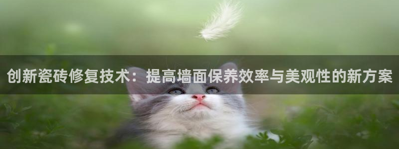 佰富联娱乐团购是正品吗