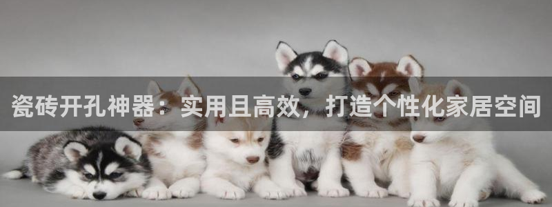 富联娱乐开户