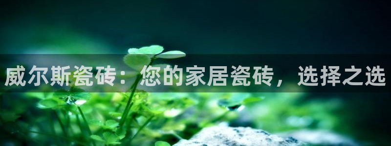 富联2娱乐首页下载