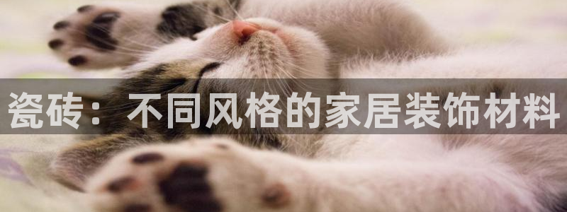 富联娱乐官网登录入口网址