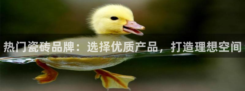 富联娱乐主管是谁
