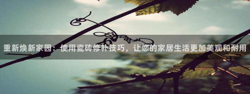 富联娱乐总代理电话号码