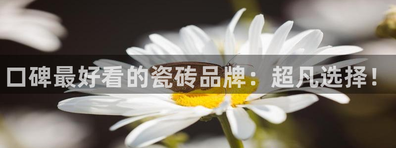 富联娱乐主管吉判官333OO