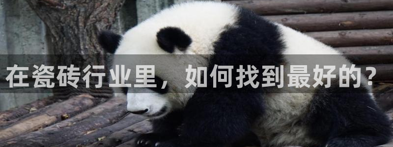 富联娱乐官方网站下载手机版