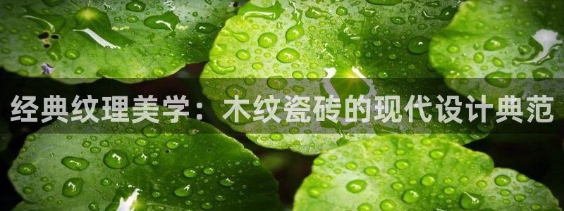 富联娱乐官方网站首页下载