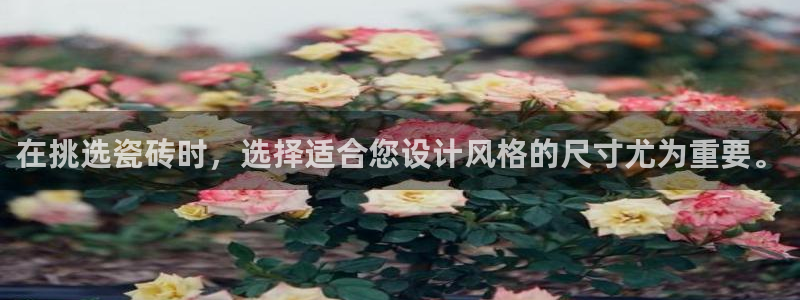 富联娱乐电究7276O