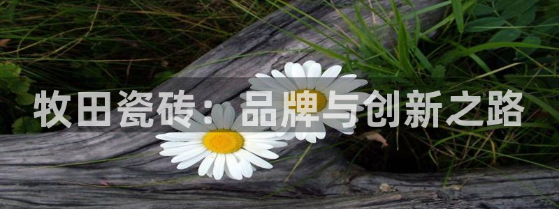 富联娱乐指究7276O