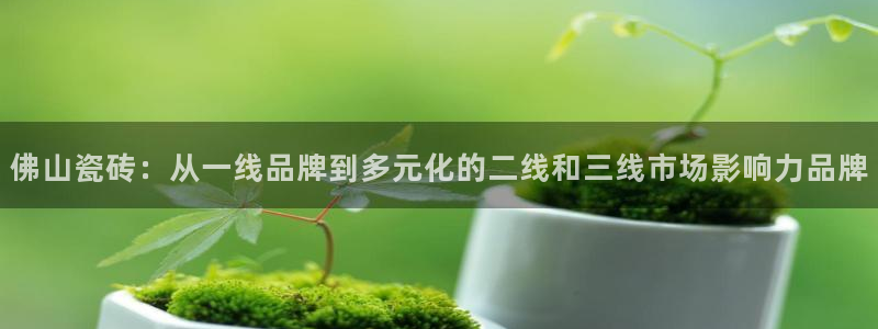 富联娱乐招商主管部门
