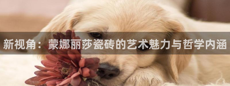 富联娱乐平台招商