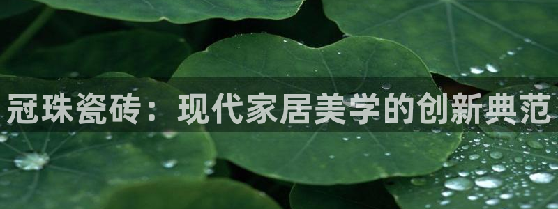 富联娱乐首页网站入口