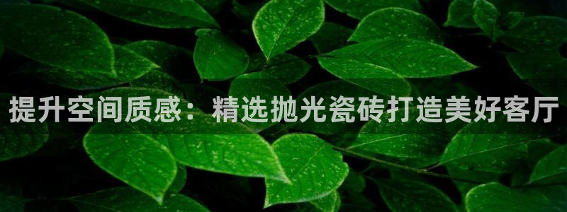 富联娱乐代理是谁的