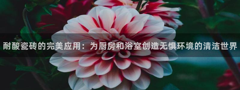 富联娱乐登录链接在哪里