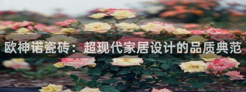 富联娱乐总代理电话地址