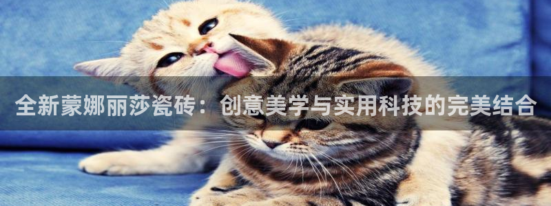 富联娱乐代理怎么样做