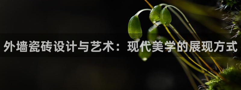 富联娱乐测速软件下载