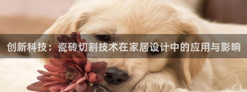 富联娱乐首页在哪看视频