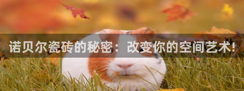 富联娱乐app官方下载安装