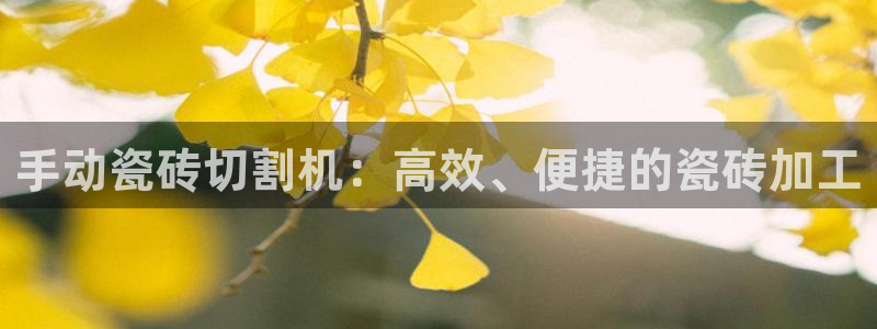 联富市场2楼娱乐场