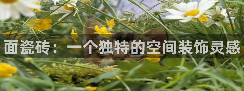 富联娱乐个六七五一38
