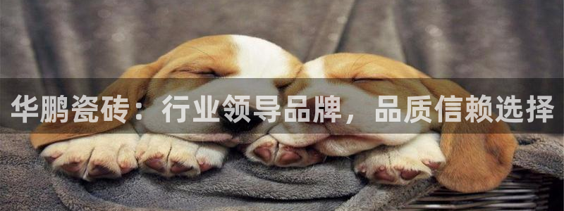 富联娱乐向5o69I7