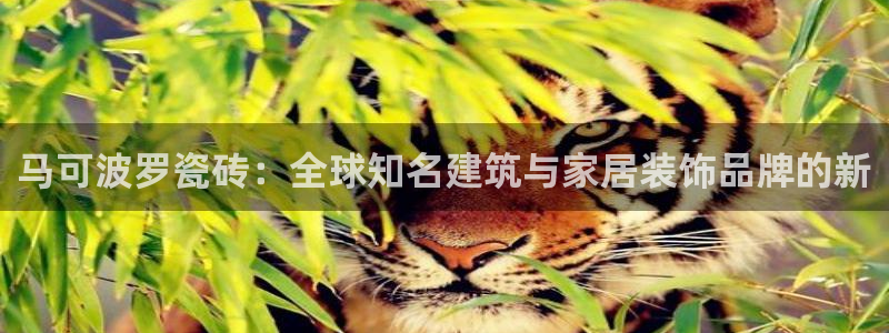 富联娱乐招商分听判官333OO