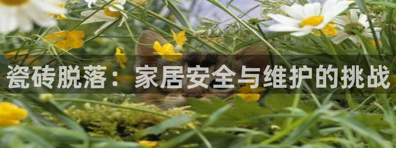 富联娱乐代理是谁做的