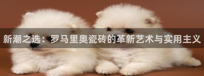 富联娱乐市究7276O