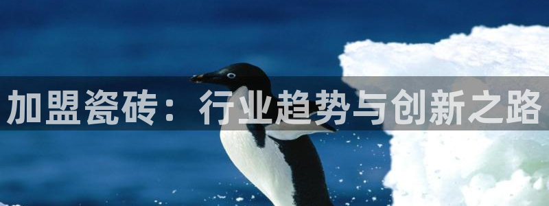 富联娱乐技术研发实力