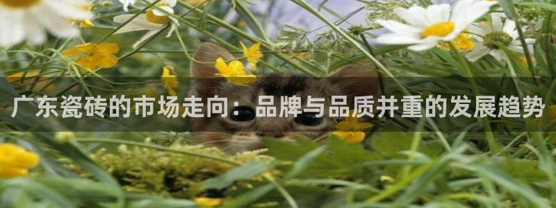 富联娱乐了67OO6