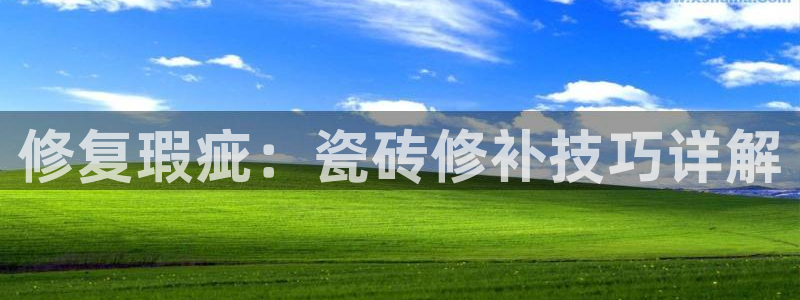 富联娱乐总裁简介资料