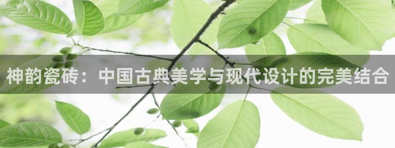 富联娱乐注册登录失败