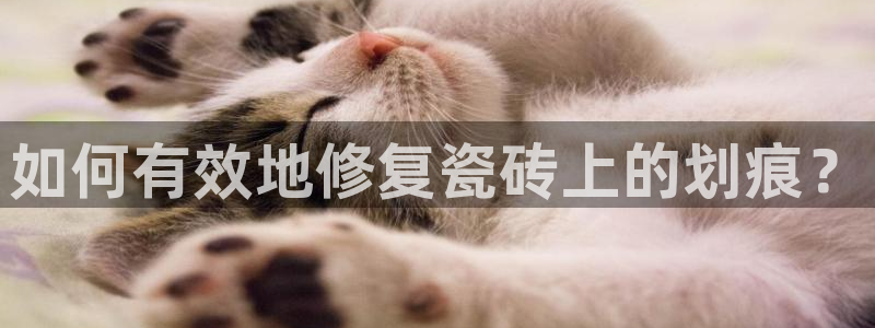 富联娱乐向5o69I7