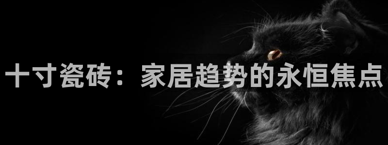 富联娱乐主管吉判官333OO