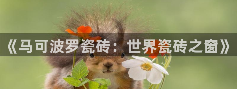 富联娱乐女团排名多少