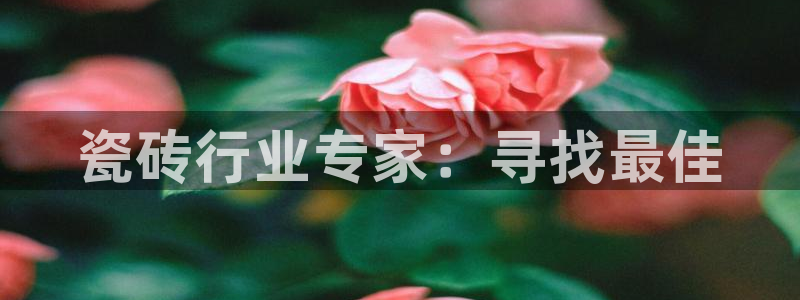 富联2娱乐注册地址查询