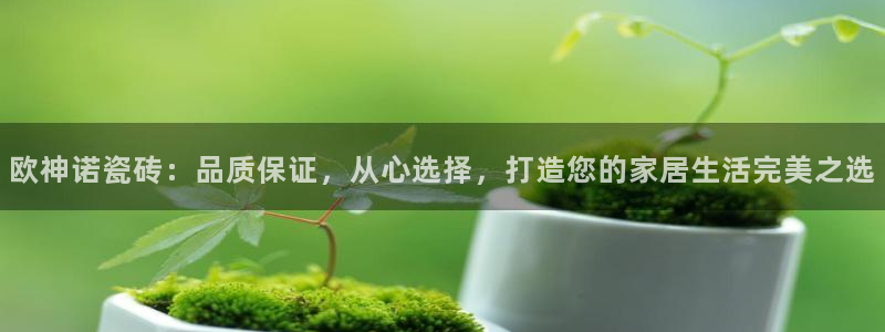 富联2娱乐注册地址在哪