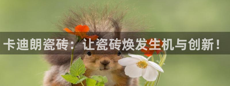 富联娱乐主管77903