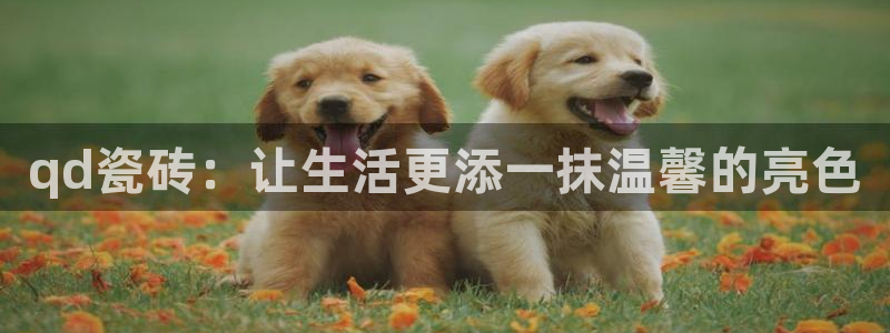 富联娱乐主管述判官333OO