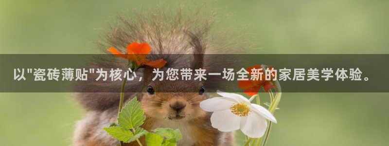 富联娱乐在线观看