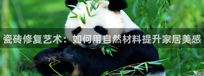 富联娱乐登录地址在哪里