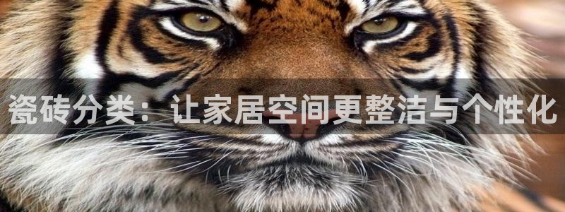 富联娱乐总裁简介图片大全