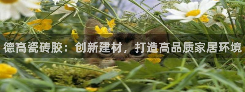 富联娱乐总代理怎么样啊