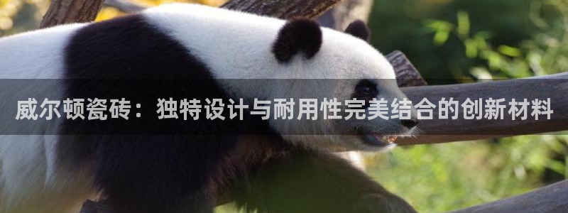 富联娱乐首页登录