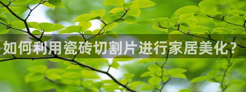台湾富联娱乐官网
