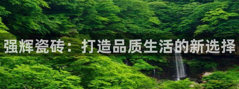 富联娱乐忘记账号密码