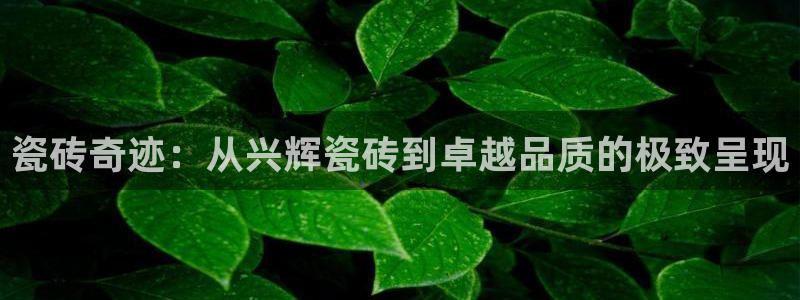 富联娱乐测速app