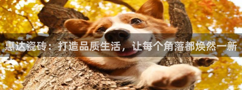 富联娱乐首页官网下载