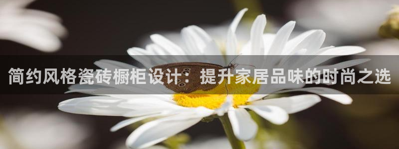 富联娱乐主管是谁啊老板